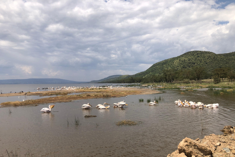 De Nairobi: Viagem de 1 dia ao Parque Nacional do Lago Nakuru