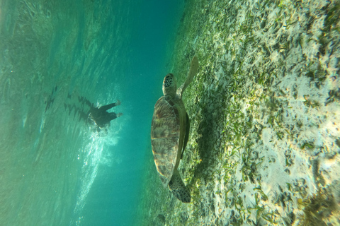 Gili Air: Small-Group Snorkeling Tour with GoPro