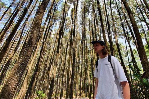 Prywatna i dostosowana wycieczka do Borobudur