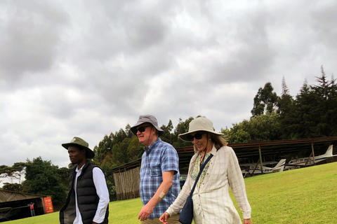 Nairobi : centre des girafes, musée de Nairobi, karen blixen, bomas