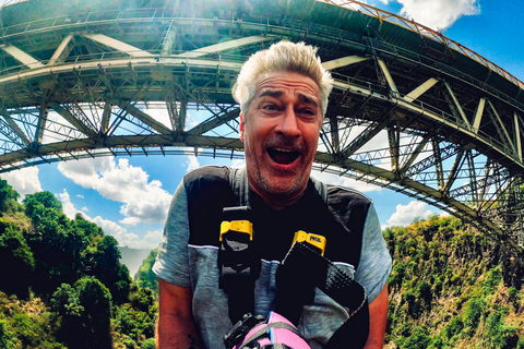 Victoria Falls: Bridge Swing