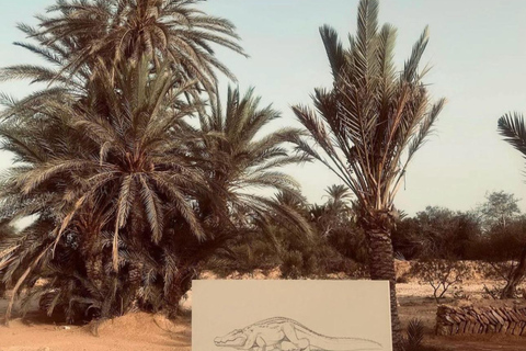 Djerba / Crocodile Farm visit with pick-up