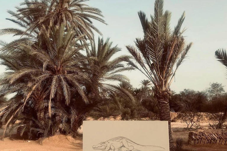 Djerba / Crocodile Farm visit with pick-up