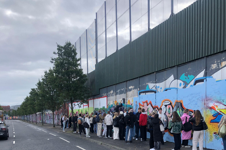 Belfast: Private Black Taxi Tour with Guide