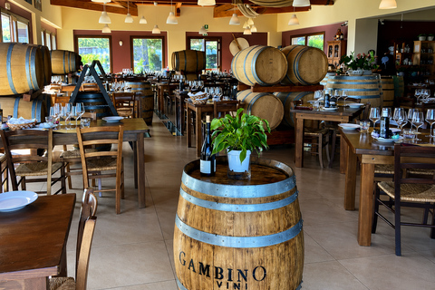 Etna + Wine Tasting Experience in a Winery and Lunch included Etna + Wine Tasting Experience in a Winery with Lunch included