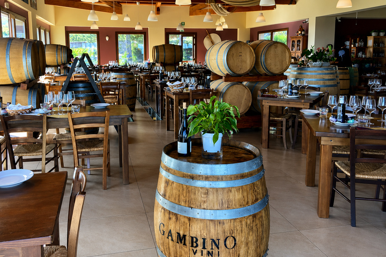 Etna + Wine Tasting Experience in a Winery and Lunch included Etna + Wine Tasting Experience in a Winery with Lunch included