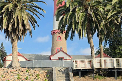 Walvis Bay: Cruiseliner Excursions