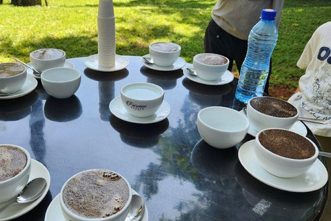 Nairobi: Half day Coffee Farm tour with a local guide