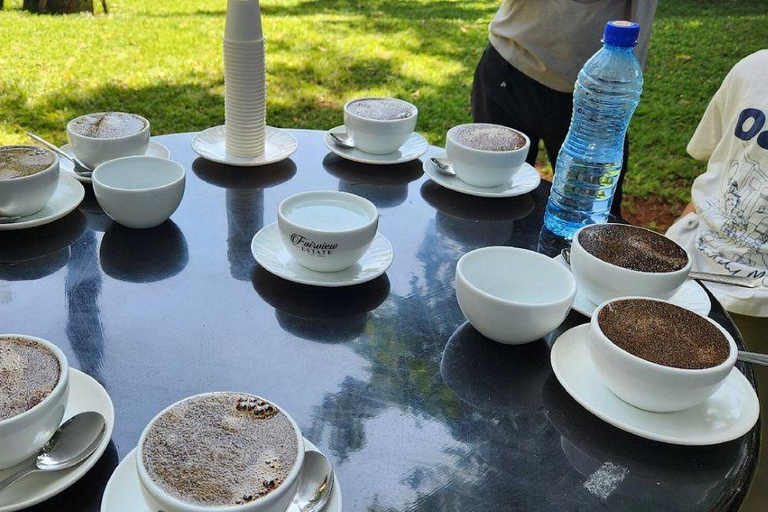 Nairobi: Half day Coffee Farm tour with a local guide