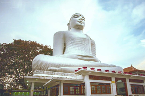 Sri Lanka: Kandy Day Tour with Airport Transfer