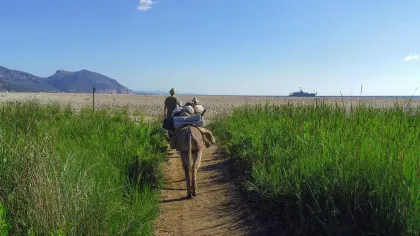Golf von Orosei: 3 Tage Trekking mit Eseln