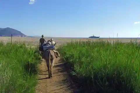 Orosei Gulf: 3 days trekking with donkeys