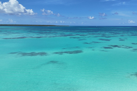 Saona Island: Premium Beach Tour