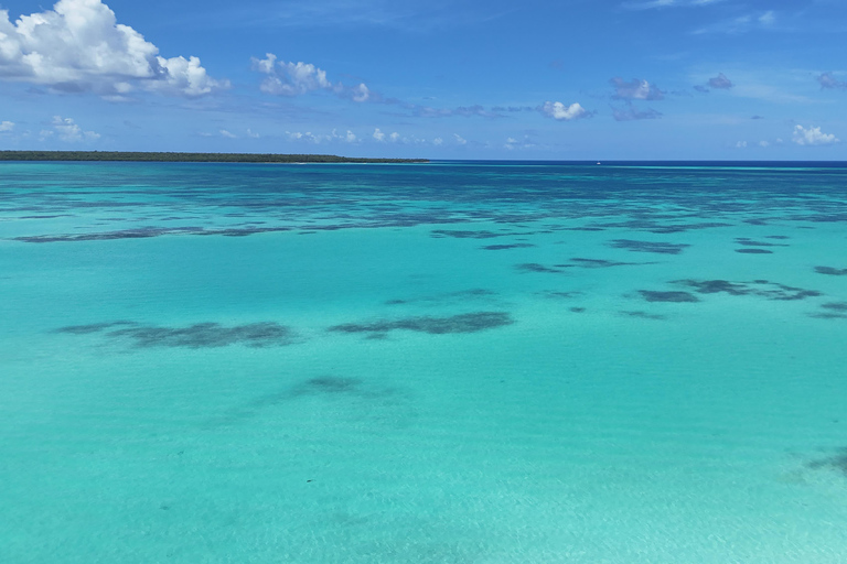 Saona Island: Premium Beach Tour