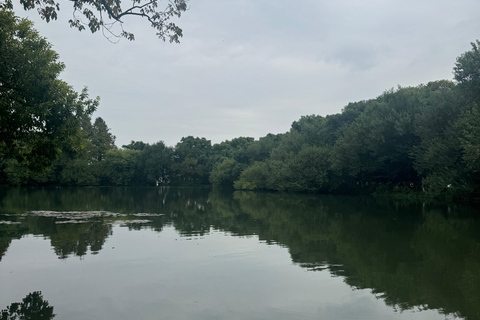 From Hangzhou: 5-Day Tour to Shanghai with Cruise & Lunches