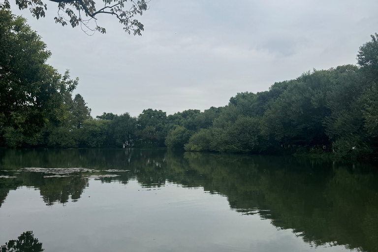 From Hangzhou: 5-Day Tour to Shanghai with Cruise & Lunches