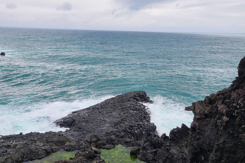 Södra Jeju: Mt Hallasan och UNESCO Geopark Busstur