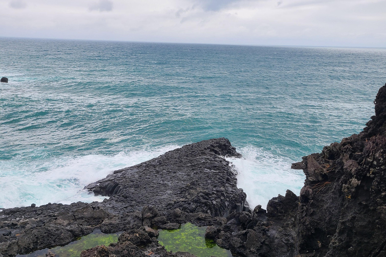 Jeju Zuid: Mt.Hallasan en UNESCO Geopark bustour