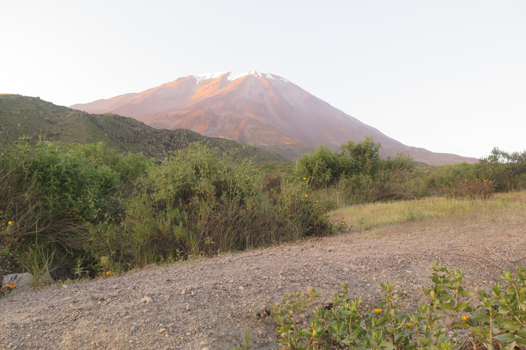 Caminhada de meio dia em Arequipa ao Vulcão MistiCaminhada de meio dia em Arequipa até o Vulcão Misti