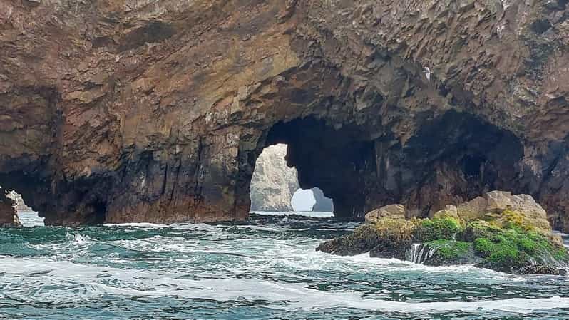 Galería de fotos para redes