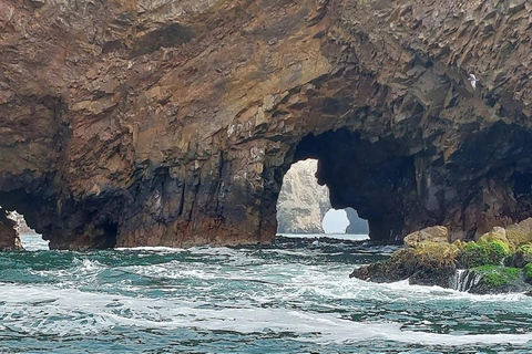 Lima: Trasferimento + Paracas + HuacachinaLima: Trasferimento + Paracas+ Huacachina