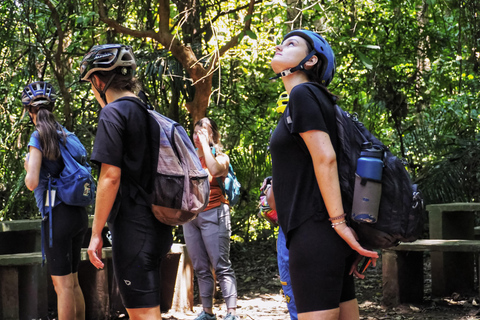 Moshi: Rau Forest Guided Bike Tour