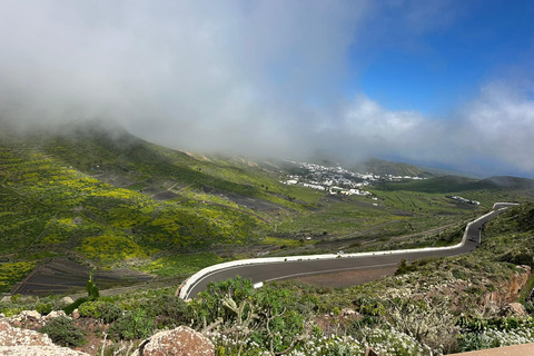 Magical Lanzarote: Northern Island Tour
