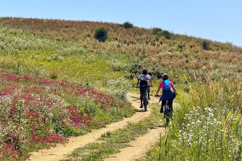 WWF E-BIKE TOUR | Riserva Naturale di Torre Salsa Con Pranzo