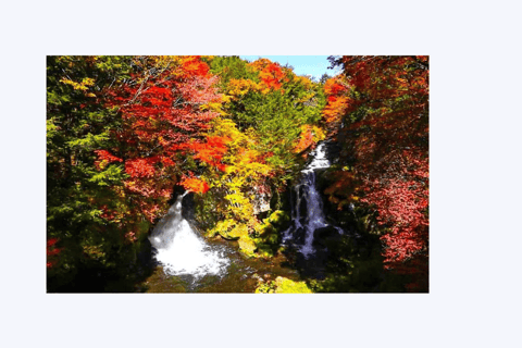 Desde Tokio: Tour privado de un día por Nikko