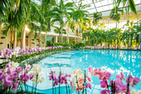 Бухарест, входной билет Therme Bucuresti с халатом - Housity
