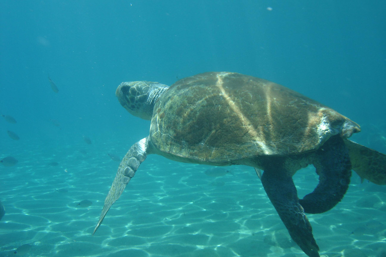 Vanuit Chania: duiken voor beginners