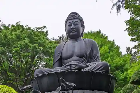 Tokyo: Great Buddha, Museums, Botanical Garden and More