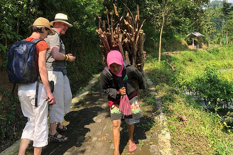 Selogriyo Temple and Java Rice Terrace Guided Trekking Tour Selogriyo Temple Java Rice Terrace Guided Trekking Tour