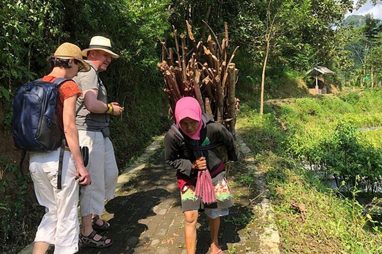 Selogriyo Temple and Java Rice Terrace Guided Trekking Tour Selogriyo Temple Java Rice Terrace Guided Trekking Tour