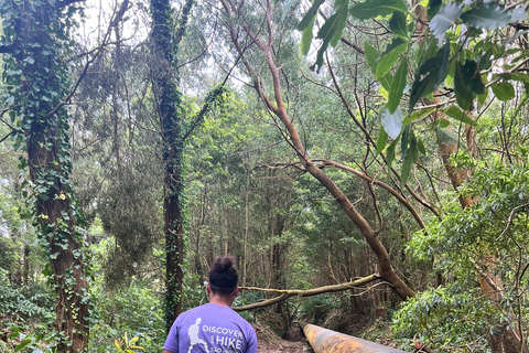 Découvrez et randonnez à São Miguel avec Rúben