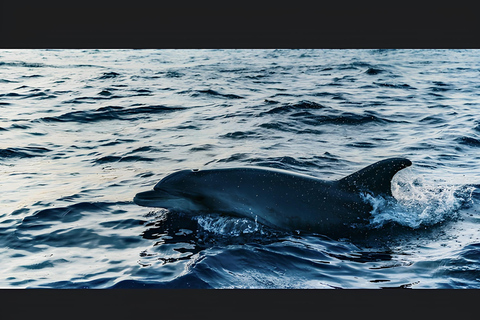 Cagliari: Devil's Saddle Boat Tour with Spritz and Chips