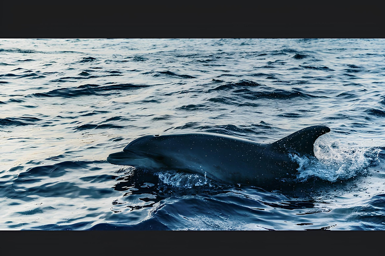 Cagliari: Devil's Saddle Boat Tour with Spritz and Chips