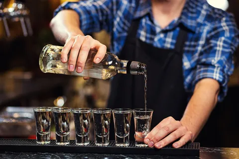 Tour privado de cata de vodka en Lodz