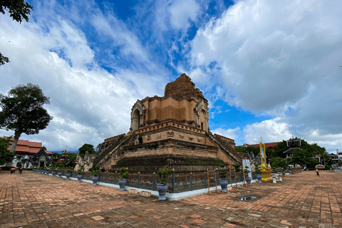 Chiang Mai : Visite des temples et de la cultureVisite privée