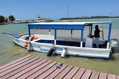 Falmouth: Luminous Lagoon Boat Tour Luminous Lagoon Boat Tour