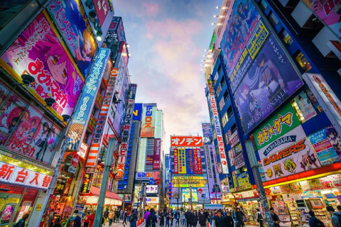 Tokyo: Tailored Shopping Escape Tour