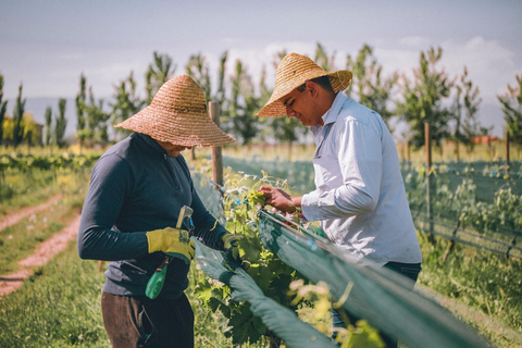 Sasunik: Van Ardi Winery Tour, Tasting & Dining Experience