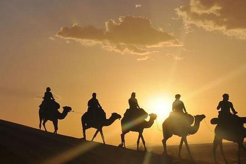 Paseo en buggy con camellos y cena con espectáculo en el desierto de Agafay.Paseo en buggy con camellos y cena con espectáculo en el desierto de Agafay