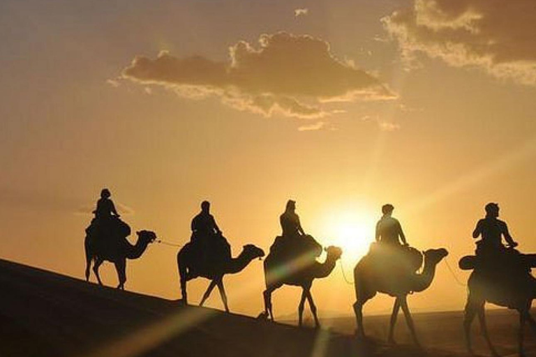 Paseo en buggy con camellos y cena con espectáculo en el desierto de Agafay.Paseo en buggy con camellos y cena con espectáculo en el desierto de Agafay