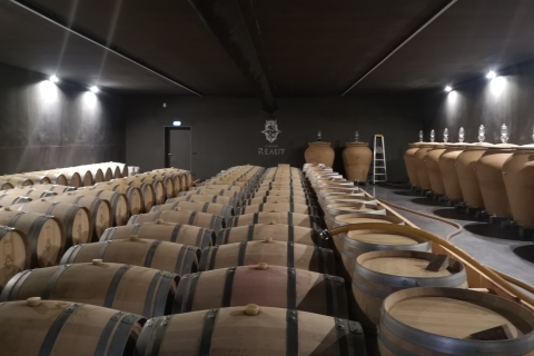 Van Bordeaux: Graves Vineyard Halve dagtrip met wijn