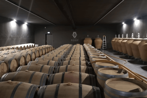 From Bordeaux: Graves Vineyard Half-Day Trip with Wine