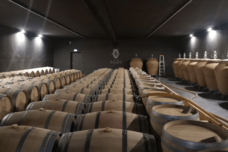 Bordeaux vineyard off the beaten path: 2 wineries &amp; tastings