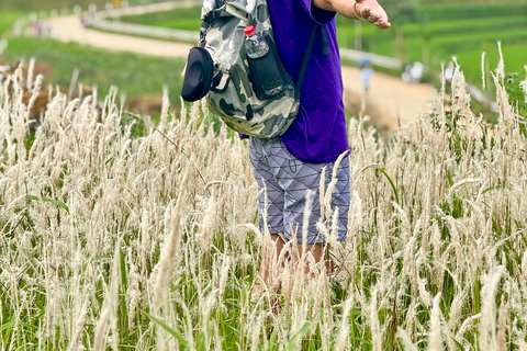 Pu Luong Jeep Tour: S-Curve, Rice Terraces & Lan Village