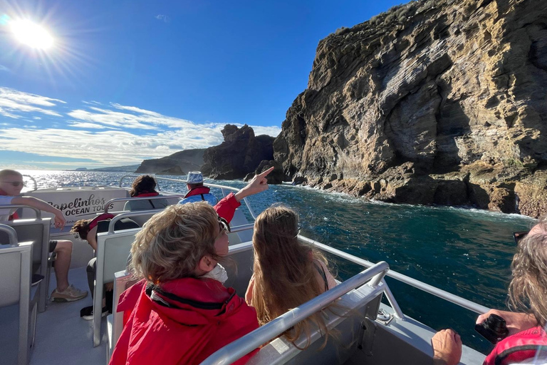 Isla de Faial: Tour en barco único al volcán Capelinhos