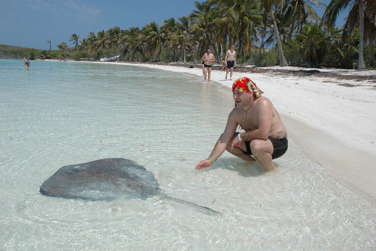 Depuis Cancun ou Riviera Maya : excursion à Isla Contoy et Isla MujeresCircuit depuis Playa del Carmen et Puerto Morelos